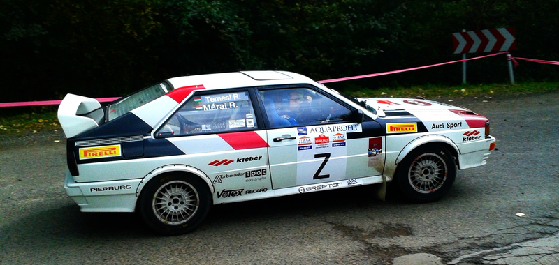 Illustration for article titled Crash Course in Mountain Rallying